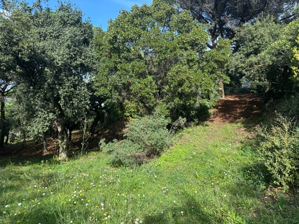 Terrain - Terrain à bâtir Sainte-Maxime (83120) à Sainte-Maxime (83), prix 550 000 €