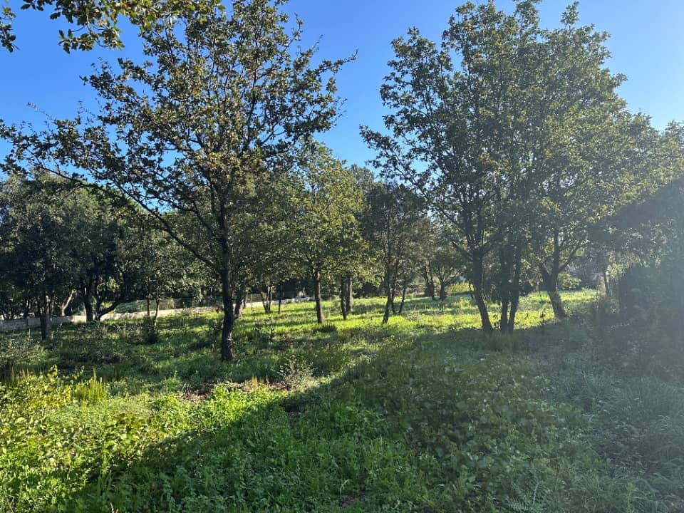 Terrain - Terrain à bâtir Le Plan-de-la-Tour (83120) à Le Plan-de-la-Tour (83), prix 590 000 €