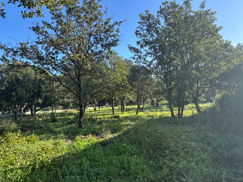 Terrain - Terrain à bâtir Le Plan-de-la-Tour (83120) à Le Plan-de-la-Tour (83), prix 590 000 €