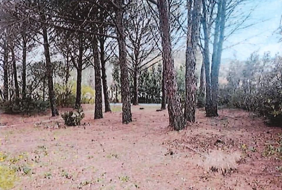 Terrain - Terrain à bâtir Le Plan-de-la-Tour (83120) à Le Plan-de-la-Tour (83), prix 289 000 €