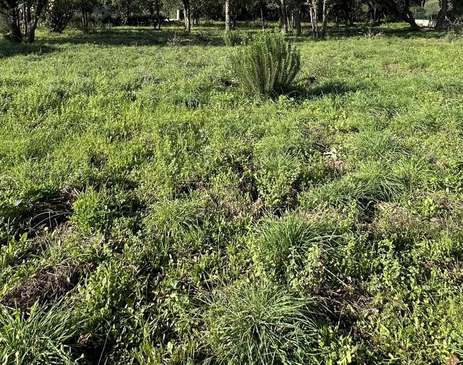 Terrain - Terrain à bâtir La Motte (83920) à La Motte (83), prix 231 000 €