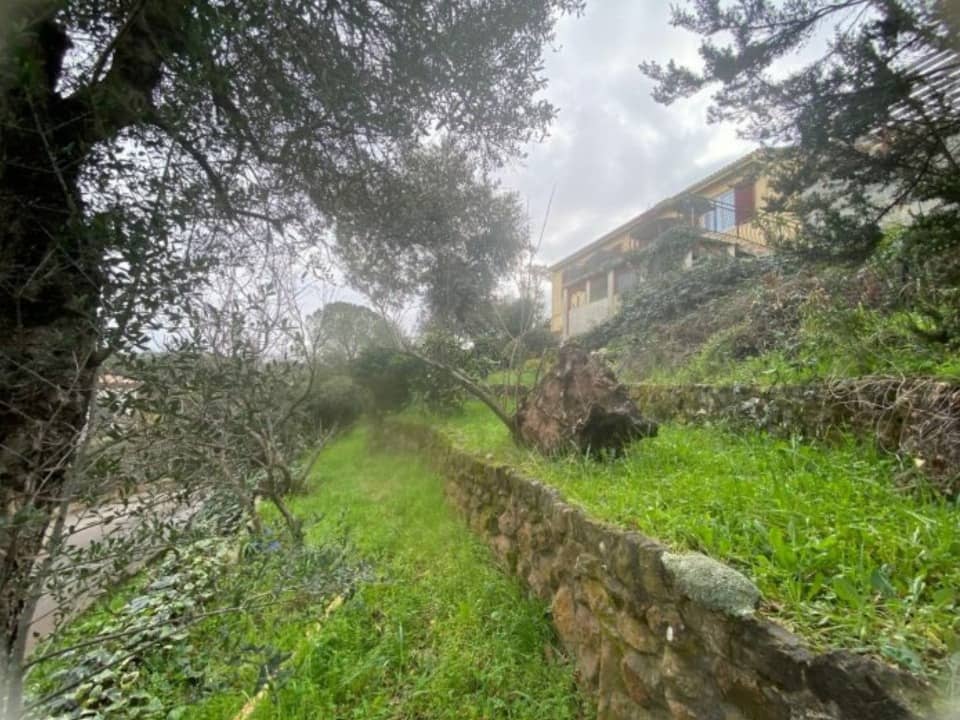 Terrain - Terrain à bâtir Puget-sur-Argens (83480) à Puget-sur-Argens (83), prix 174 000 €