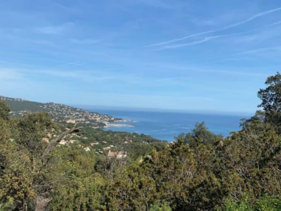 Terrain - Terrain à bâtir Sainte-Maxime (83120) à Sainte-Maxime (83), prix 890 000 €