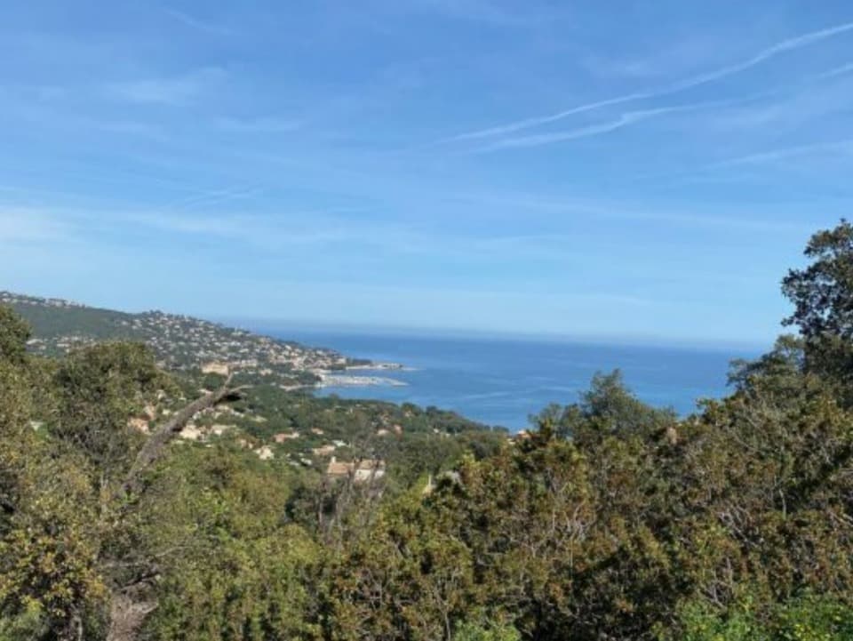 Terrain - Terrain à bâtir Sainte-Maxime (83120) à Sainte-Maxime (83), prix 890 000 €