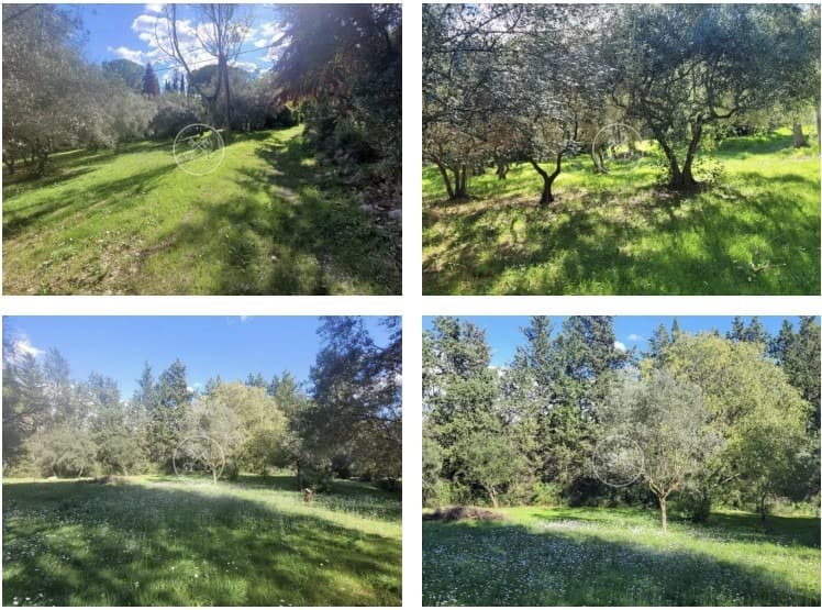 Terrain - Terrain à bâtir Draguignan (83300) à Draguignan (83), prix 150 000 €