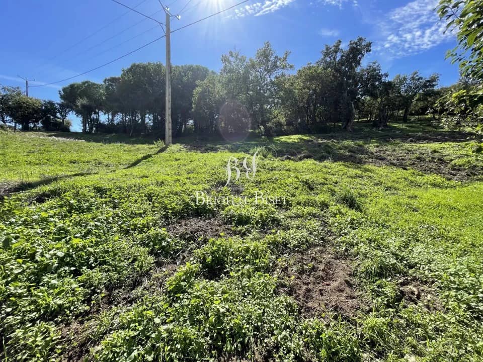 Terrain - Terrain à bâtir Le Plan-de-la-Tour (83120) à Le Plan-de-la-Tour (83), prix 558 000 €