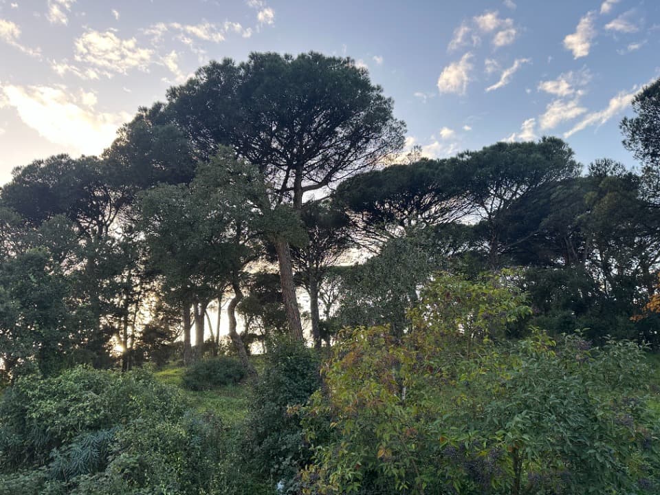 Terrain - Terrain à bâtir Sainte-Maxime (83120) à Sainte-Maxime (83), prix 439 900 €