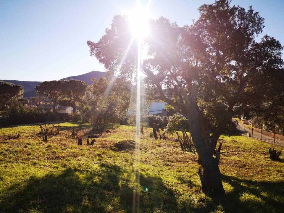 Terrain - Terrain à bâtir Le Plan-de-la-Tour (83120) à Le Plan-de-la-Tour (83), prix 367 500 €