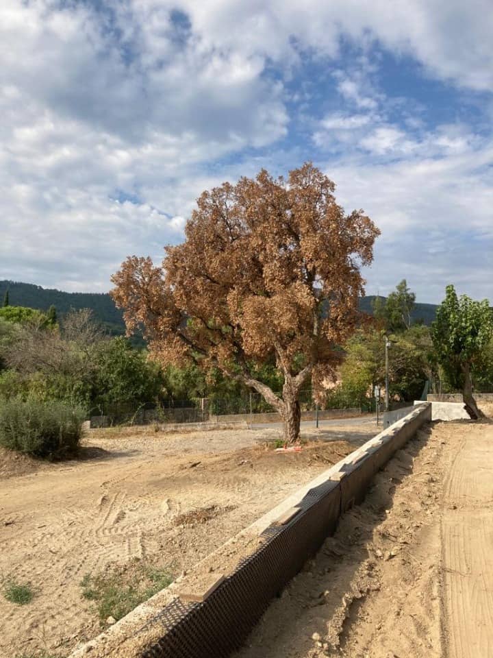 Terrain - Terrain à bâtir Le Plan-de-la-Tour (83120) à Le Plan-de-la-Tour (83), prix 367 500 €