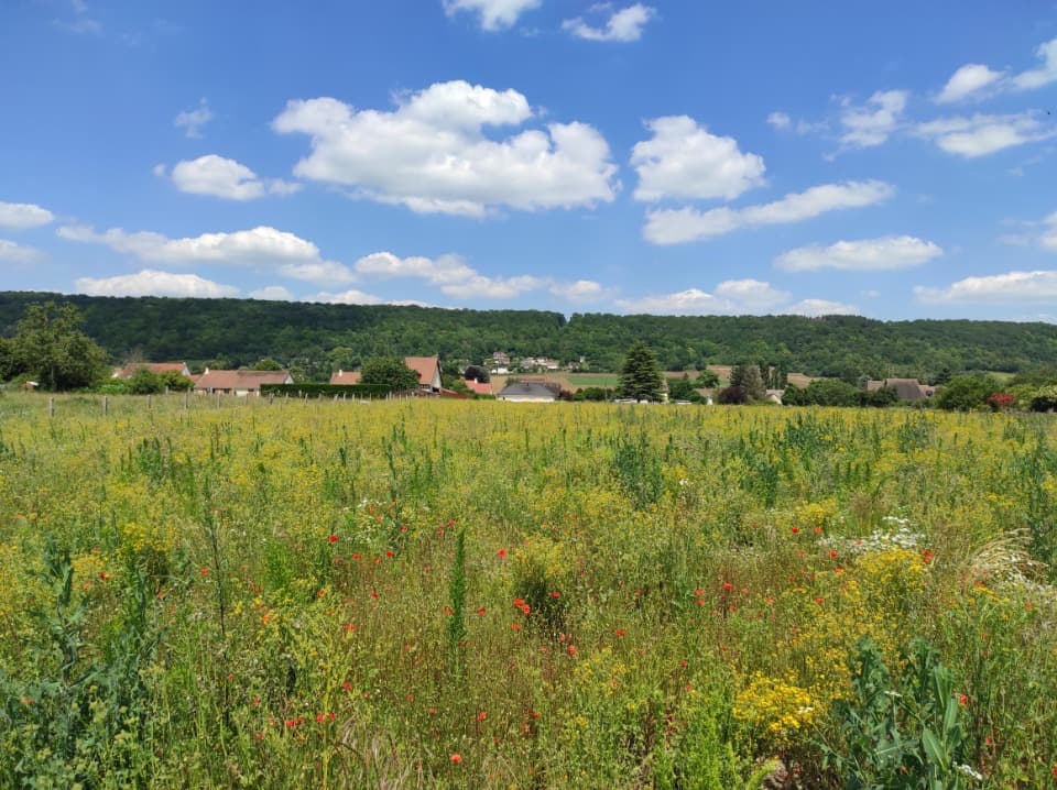 Terrain - Terrain à bâtir Port-Mort (27940) à Port-Mort (27), prix 62 500 €