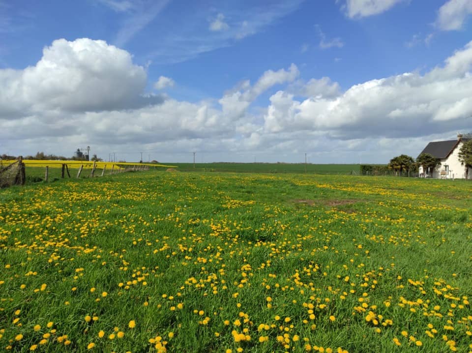 Maison neuve - Terrain à bâtir Saint-Aubin-sur-Gaillon (27600) à Saint-Aubin-sur-Gaillon, prix 244 500 €