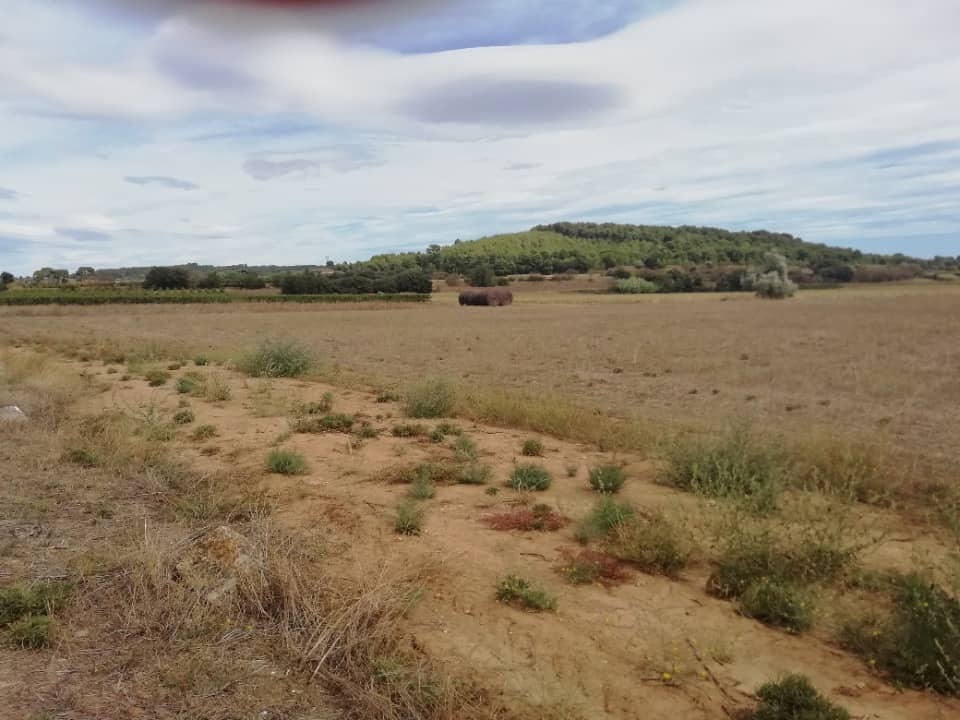 Terrain - Terrain à bâtir  () à Lignan-sur-Orb (34), prix 120 000 €