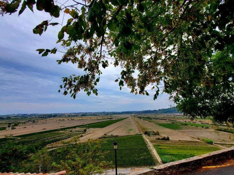 Terrain - Terrain à bâtir () à Montady (34), prix 101 000 €