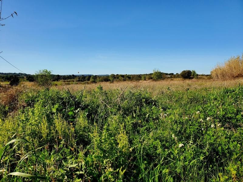 Terrain - Terrain à bâtir () à Loupian (34), prix 149 900 €