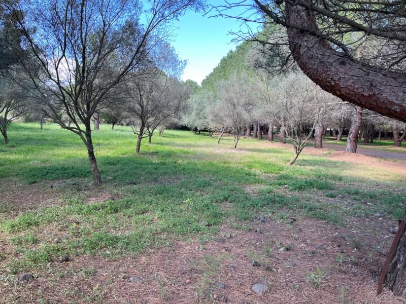 Terrain - Terrain à bâtir  () à Lézignan-la-Cèbe (34), prix 123 500 €