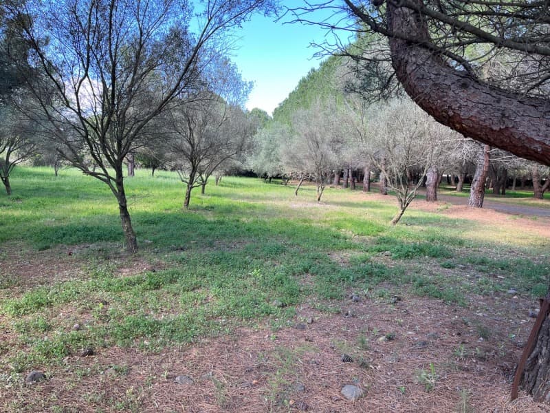 Terrain - Terrain à bâtir () à Lézignan-la-Cèbe (34), prix 123 500 €