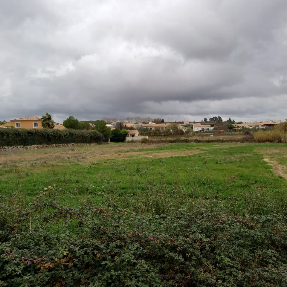 Terrain - Terrain à bâtir Puisserguier (34620) à Puisserguier (34), prix 109 000 €