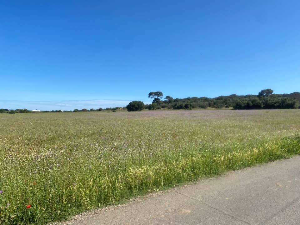 Terrain - Terrain à bâtir Bessan (34550) à Bessan (34), prix 125 900 €