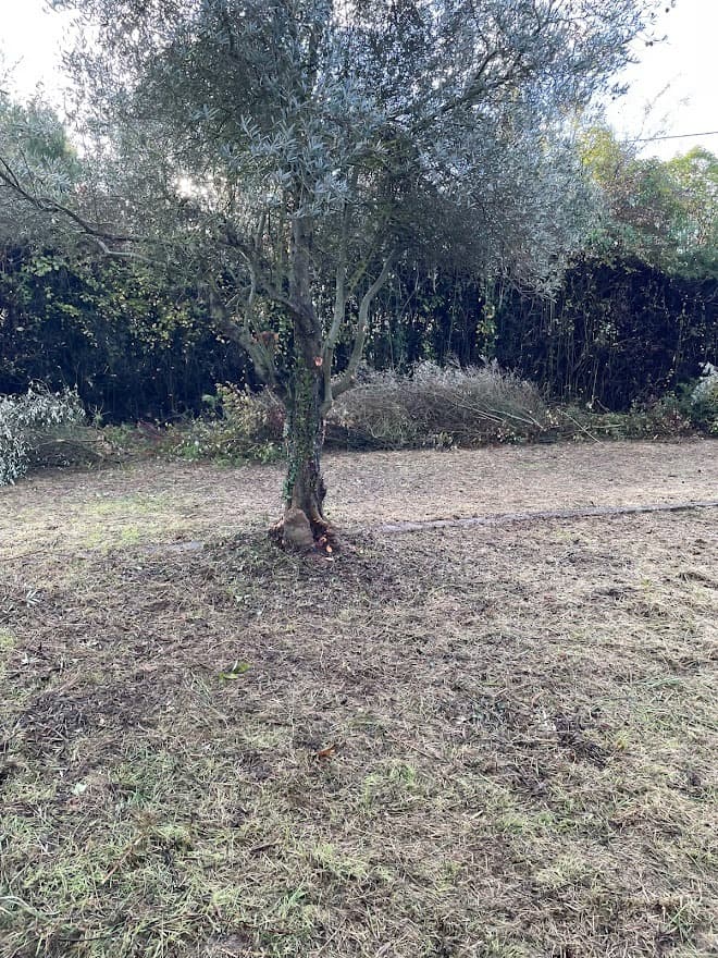 Terrain - Terrain à bâtir () à Cadenet (84), prix 160 000 €