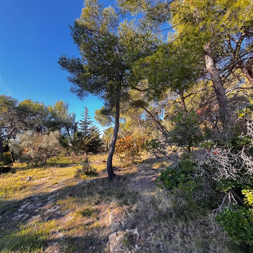 Terrain - Terrain à bâtir  () à Ceyreste (13), prix 550 000 €