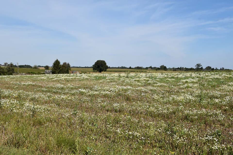 Terrain - Terrain à bâtir Montigny (76380) à Montigny (76), prix 180 600 €