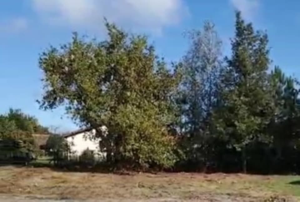 Terrain - Terrain à bâtir () à Pissos (40), prix 98 000 €