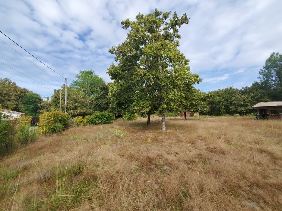 Terrain - Terrain à bâtir () à Salles (33), prix 107 000 €