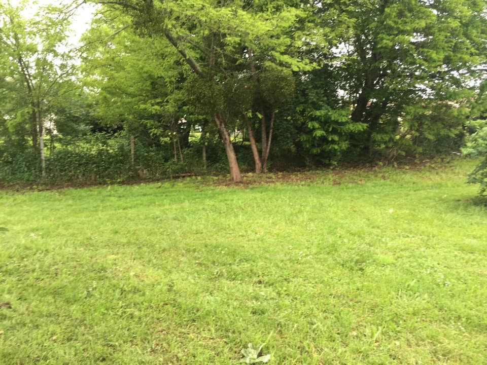 Terrain - Terrain à bâtir La Brède (33650) à La Brède (33), prix 230 000 €