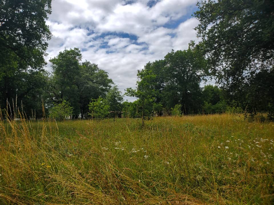 Terrain - Terrain à bâtir Le Barp (33114) à Le Barp, prix 118 000 €