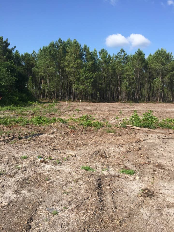 Terrain - Terrain à bâtir Landiras (33720) à Landiras, prix 125 000 €