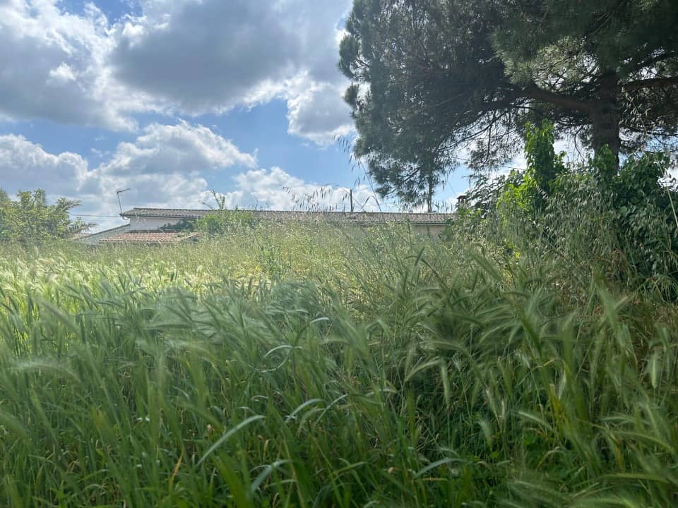 Terrain - Terrain à bâtir Portets (33640) à Portets, prix 126 000 €