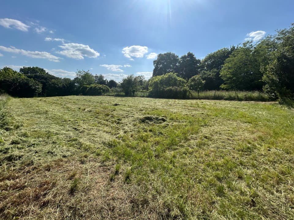 Terrain - Terrain à bâtir Doulezon (33350) à Doulezon (33), prix 37 000 €