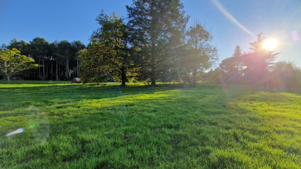 Terrain - Terrain à bâtir Uzeste (33730) à Uzeste (33), prix 85 000 €