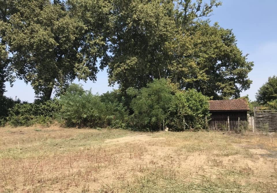 Terrain - Terrain à bâtir Roaillan (33210) à Roaillan (33), prix 79 000 €