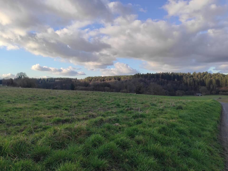 Terrain - Terrain à bâtir Saint-Sulpice-de-Grimbouville (27210) à Saint-Sulpice-de-Grimbouville (27), prix 78 500 €