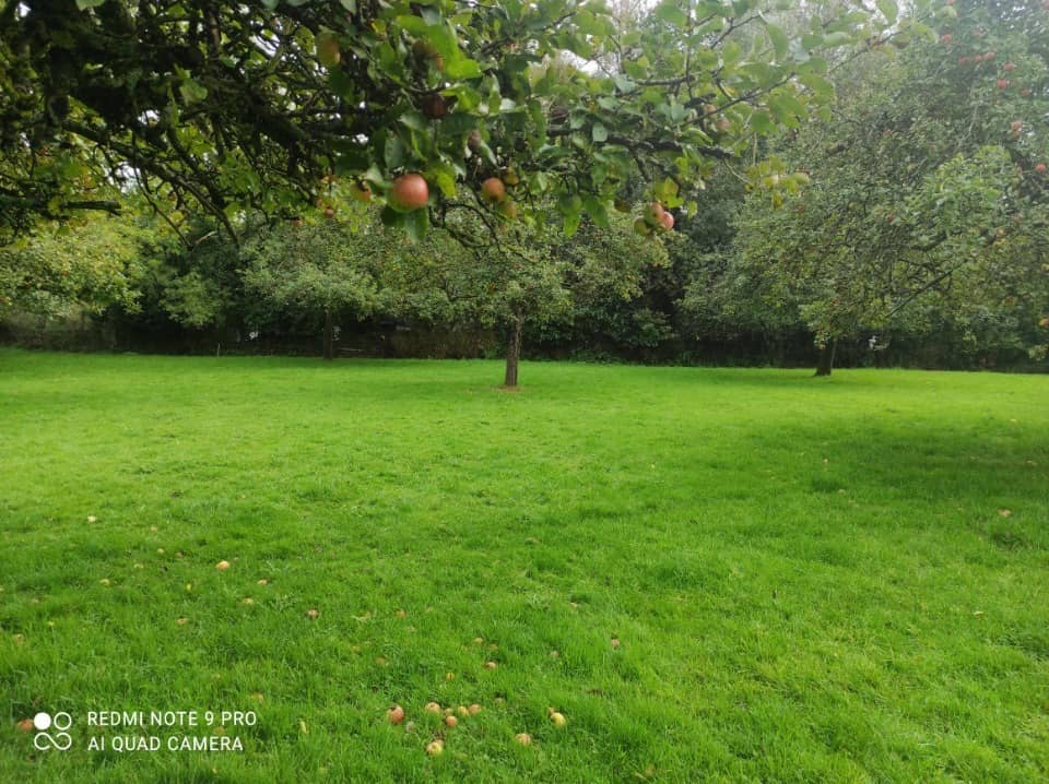 Terrain - Terrain à bâtir Toutainville (27500) à Toutainville (27), prix 51 500 €