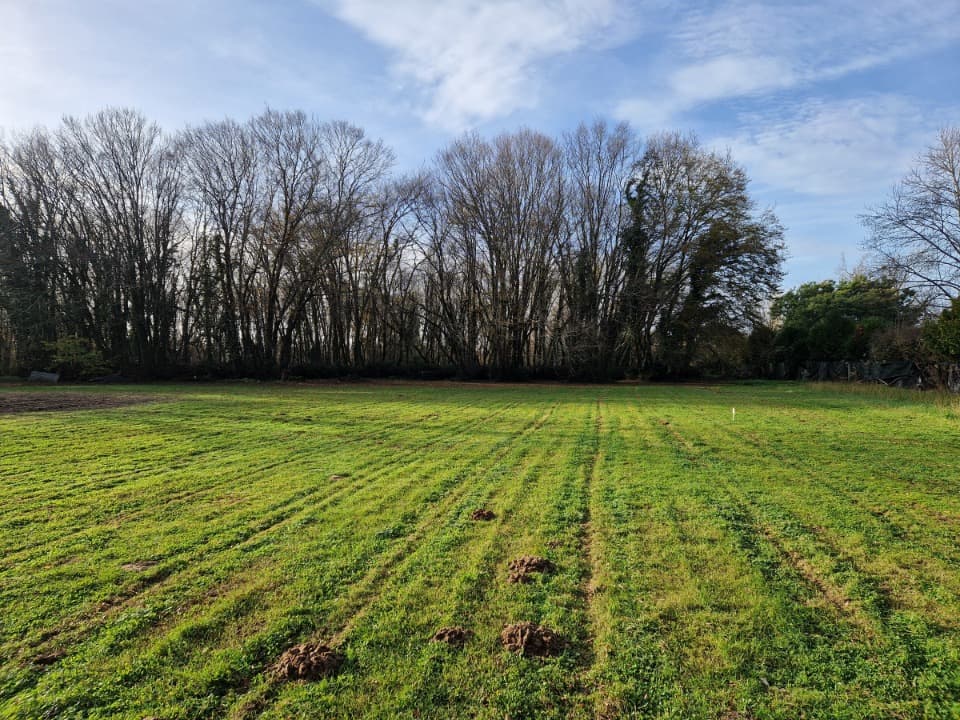 Terrain - Terrain à bâtir Gémozac (17260) à Gémozac (17), prix 45 650 €