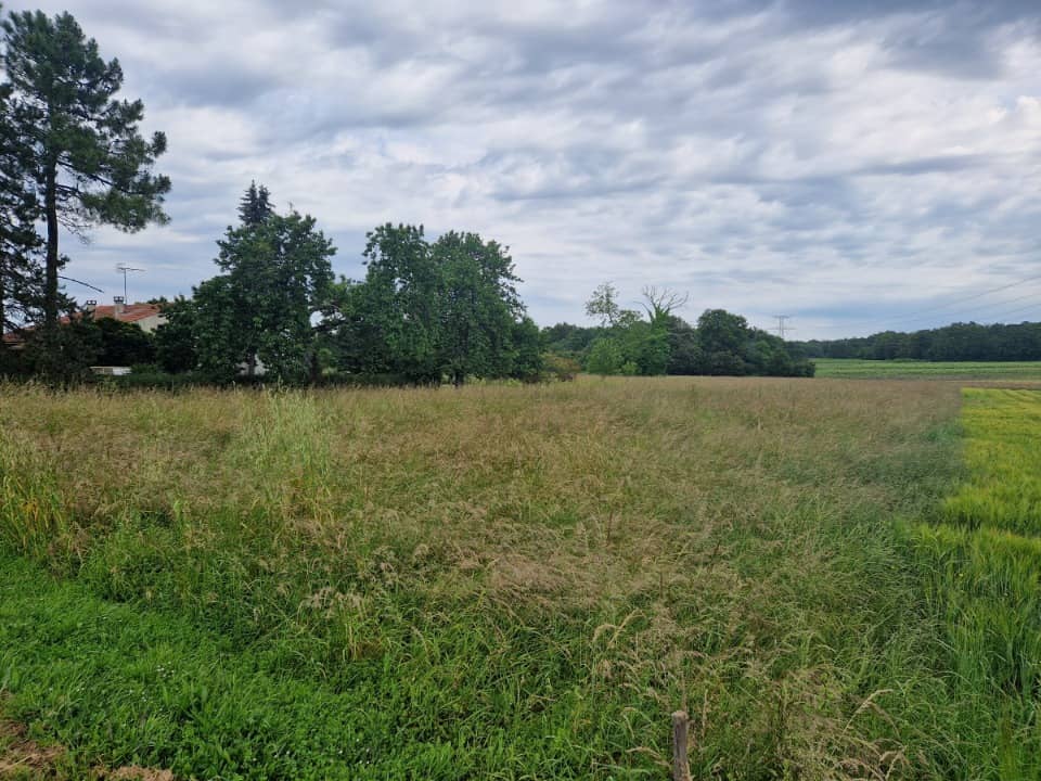 Terrain - Terrain à bâtir Saint-Ciers-du-Taillon (17240) à Saint-Ciers-du-Taillon, prix 25 000 €