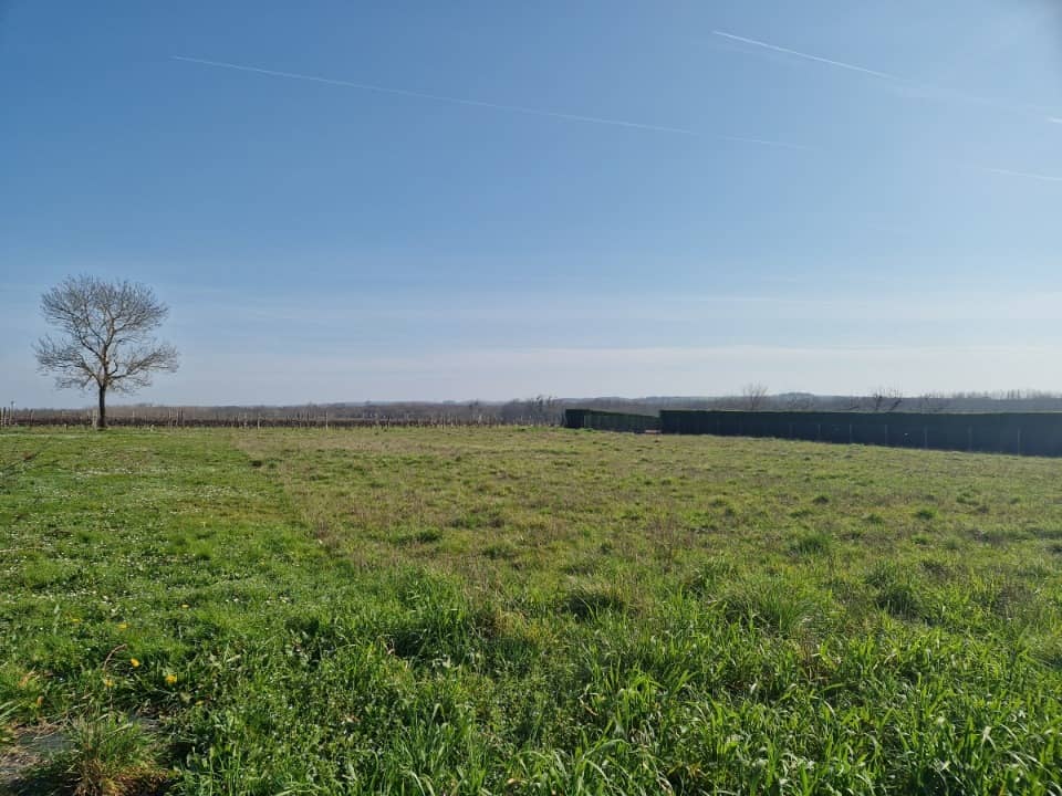 Terrain - Terrain à bâtir Saint-Fort-sur-Gironde (17240) à Saint-Fort-sur-Gironde (17), prix 38 000 €