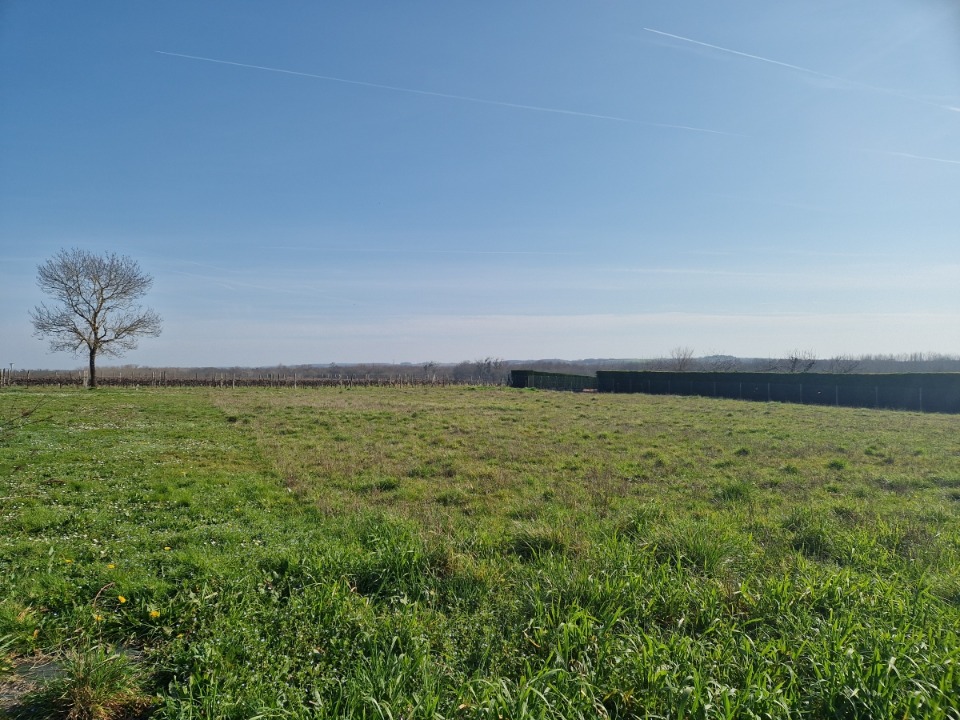 Terrain - Terrain à bâtir Saint-Fort-sur-Gironde (17240) à Saint-Fort-sur-Gironde, prix 38 000 €