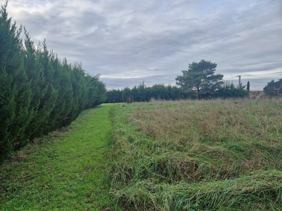 Terrain - Terrain à bâtir Saint-Georges-des-Agoûts (17150) à Saint-Georges-des-Agoûts (17), prix 18 500 €