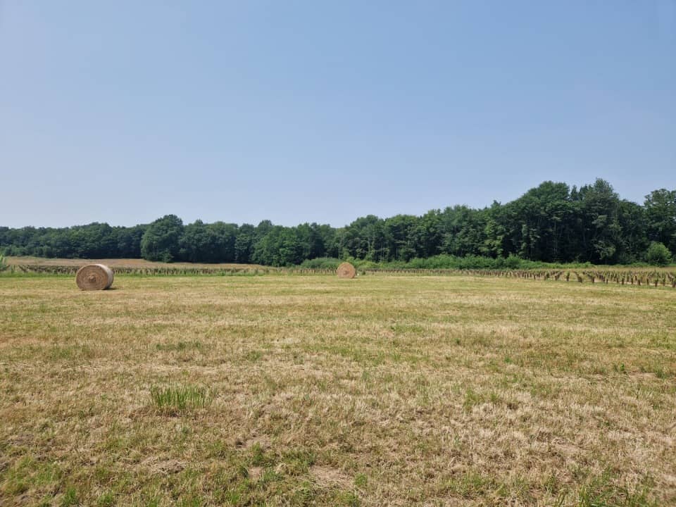 Terrain - Terrain à bâtir Chérac (17610) à Chérac, prix 35 000 €