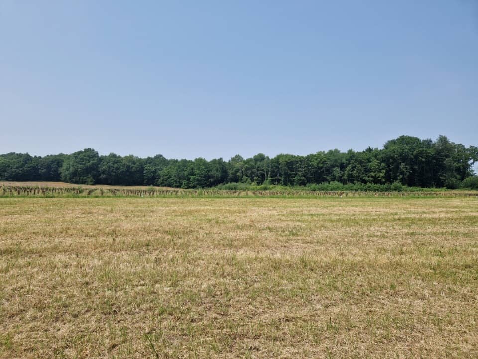 Terrain - Terrain à bâtir Chérac (17610) à Chérac (17), prix 35 000 €