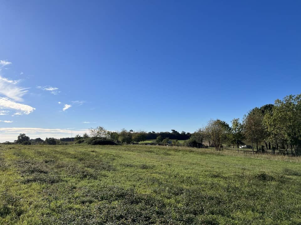 Terrain - Terrain à bâtir Chevanceaux (17210) à Chevanceaux, prix 30 000 €