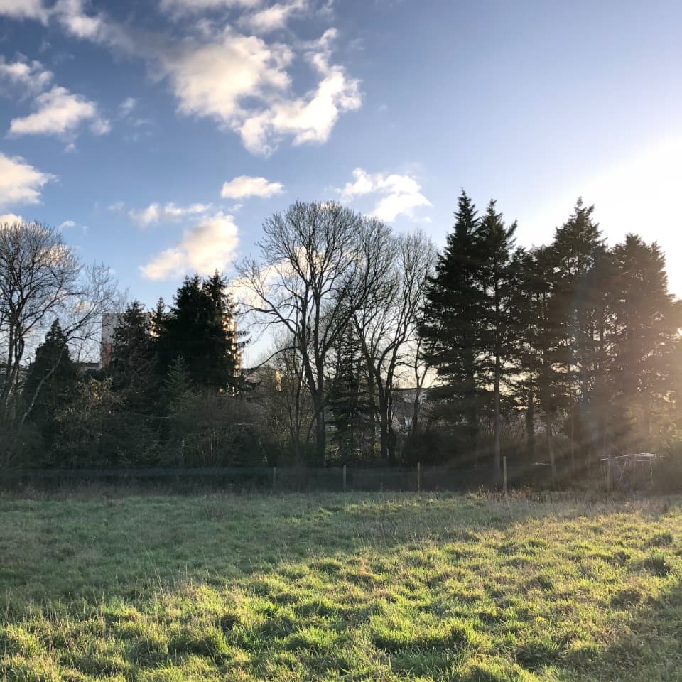 Terrain - Terrain à bâtir () à Parigné-l'Évêque (72), prix 42 000 €