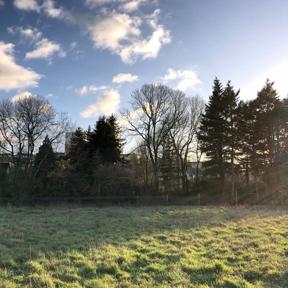 Terrain - Terrain à bâtir Le Mans (72000) à Le Mans (72), prix 57 500 €