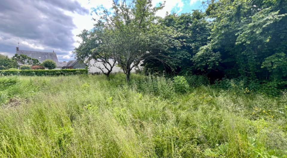 Terrain - Terrain à bâtir Saint-Pavace (72190) à Saint-Pavace, prix 140 000 €