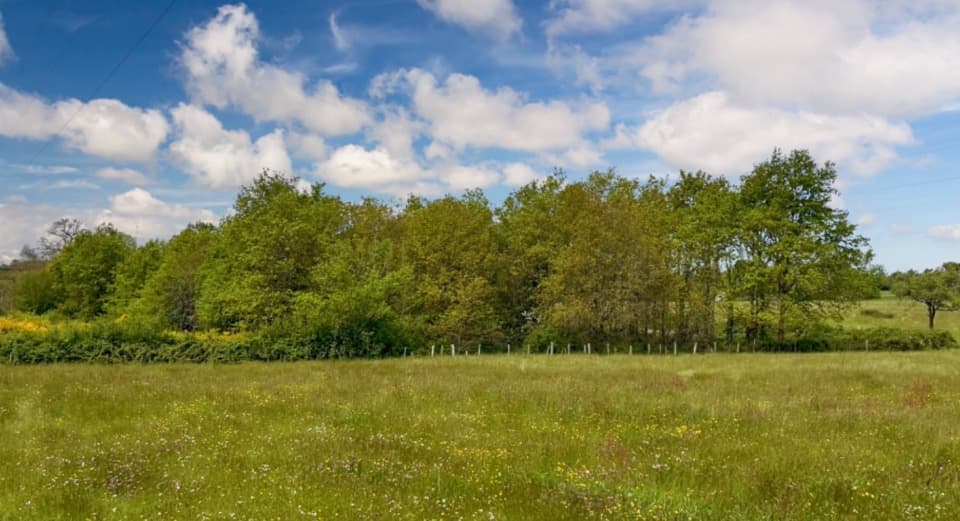 Terrain - Terrain à bâtir Yvré-l'Évêque (72530) à Yvré-l'Évêque (72), prix 147 000 €