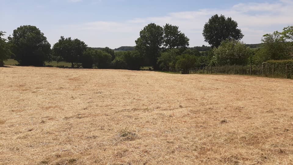 Terrain - Terrain à bâtir () à La Bazoge, prix 59 000 €