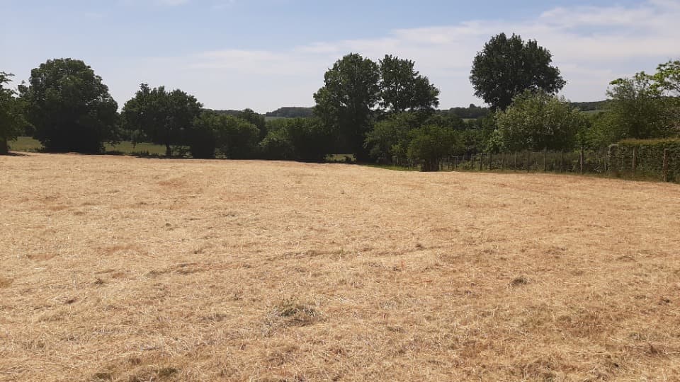 Terrain - Terrain à bâtir () à La Bazoge (72), prix 59 000 €